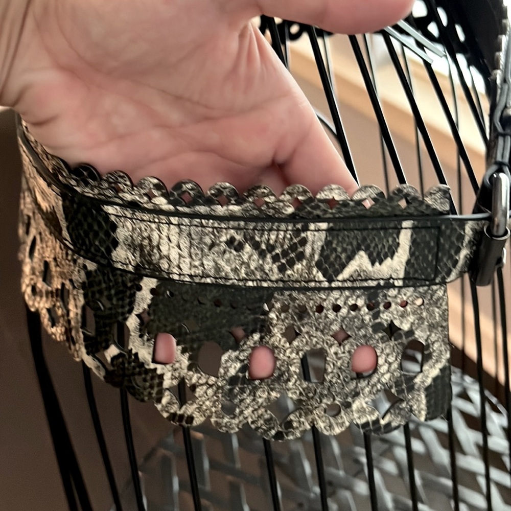 Unique Bcbg Belt. Multicolored With Unique Cuts. … - image 5